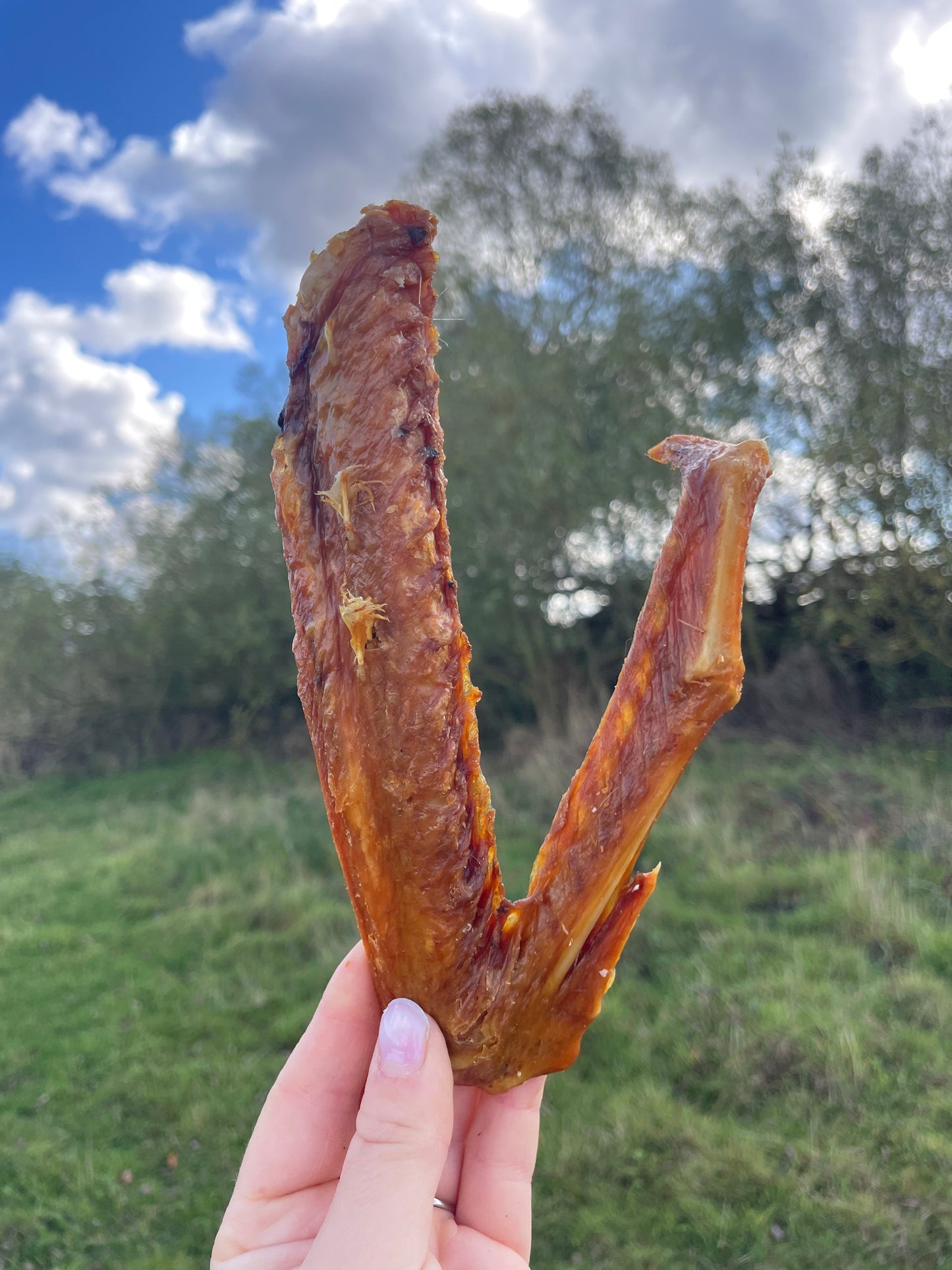 Crunchy Goose Wings – Joint & Dental Boost