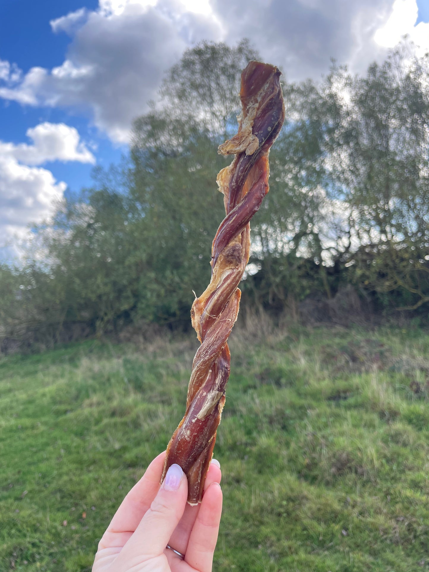 British Twisted Pizzles (20–25cm)