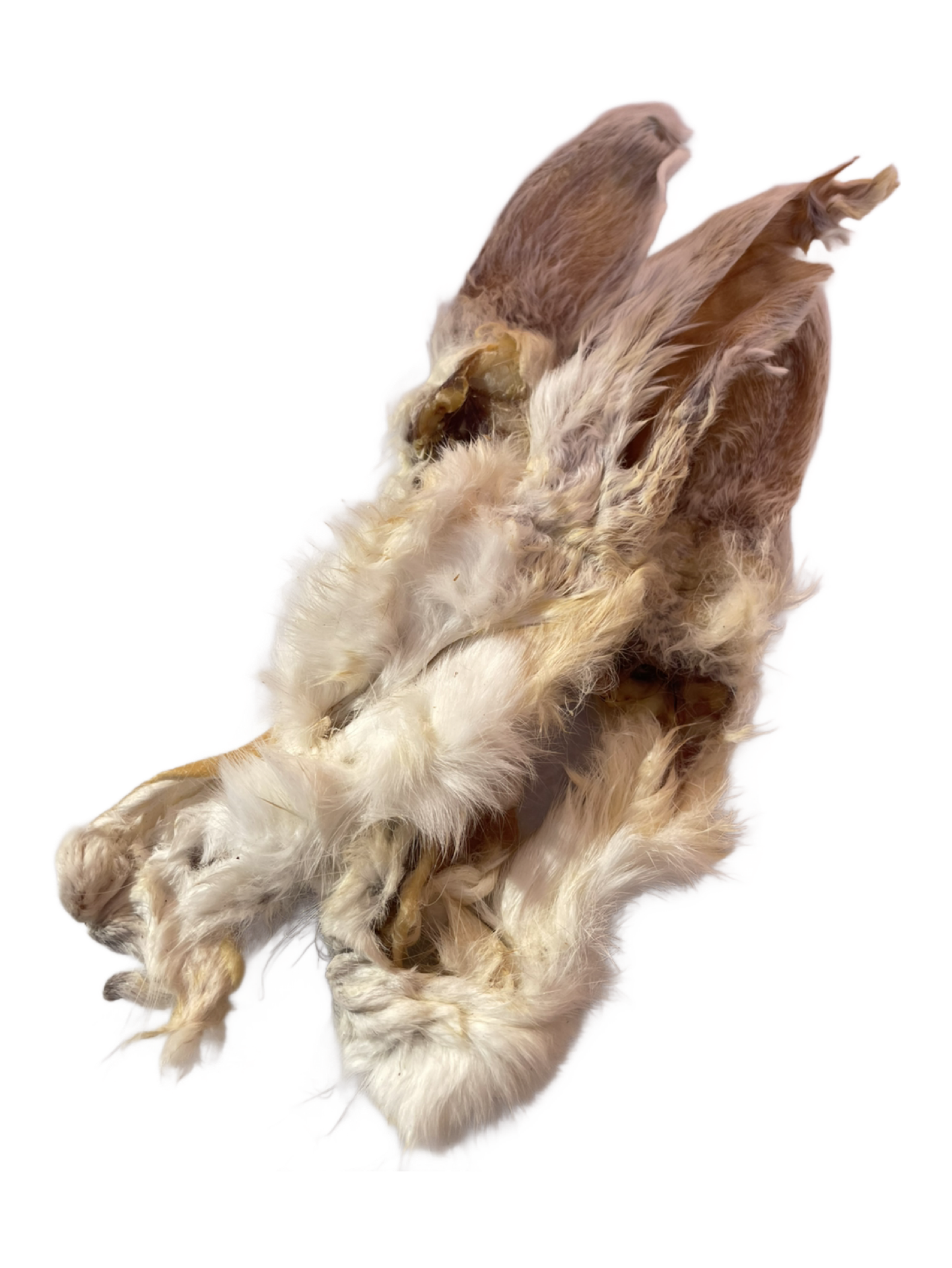 Rabbit Ears - With Hair