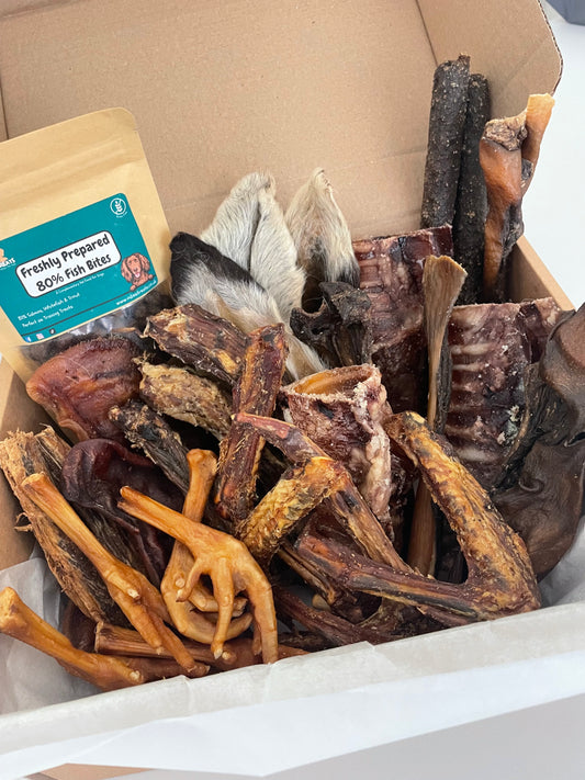 Odie's Monthly Surprise Box