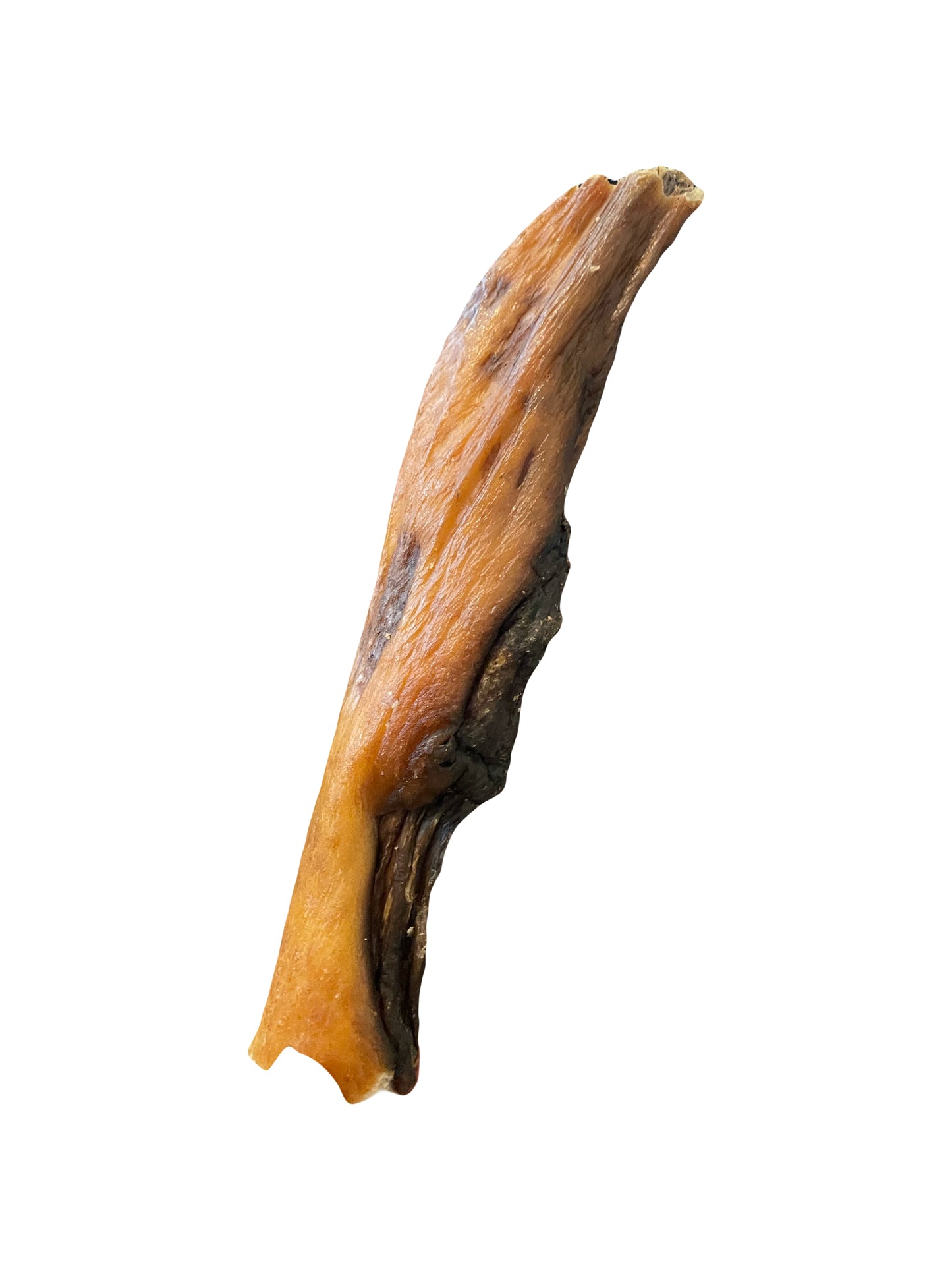 Wild Boar Skins