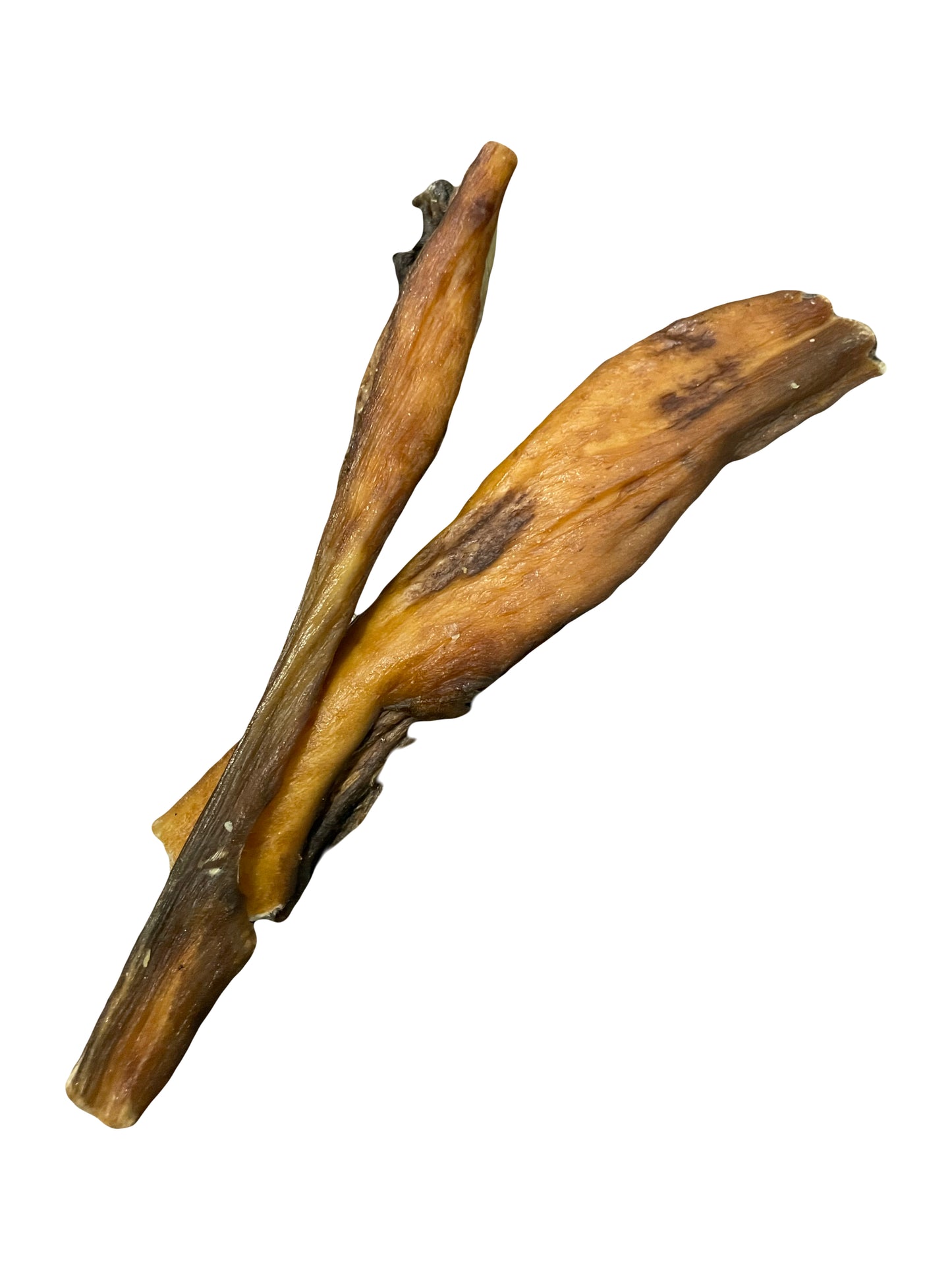 Wild Boar Skins
