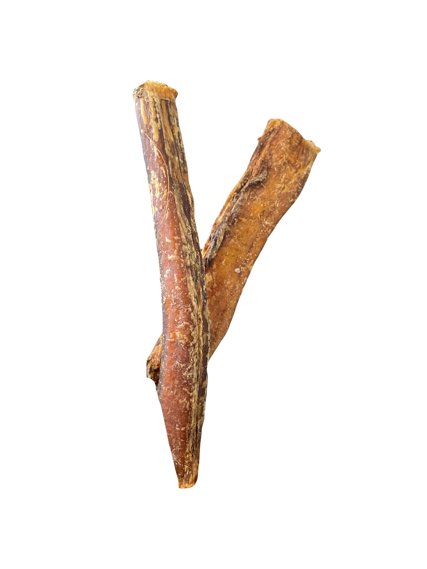 Buffalo Pizzle - 12cm
