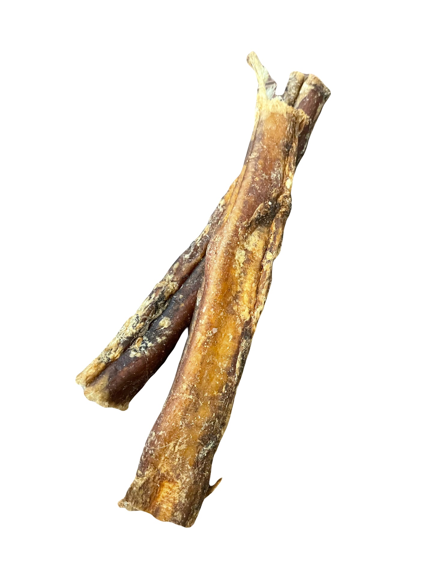 Buffalo Pizzle - 12cm
