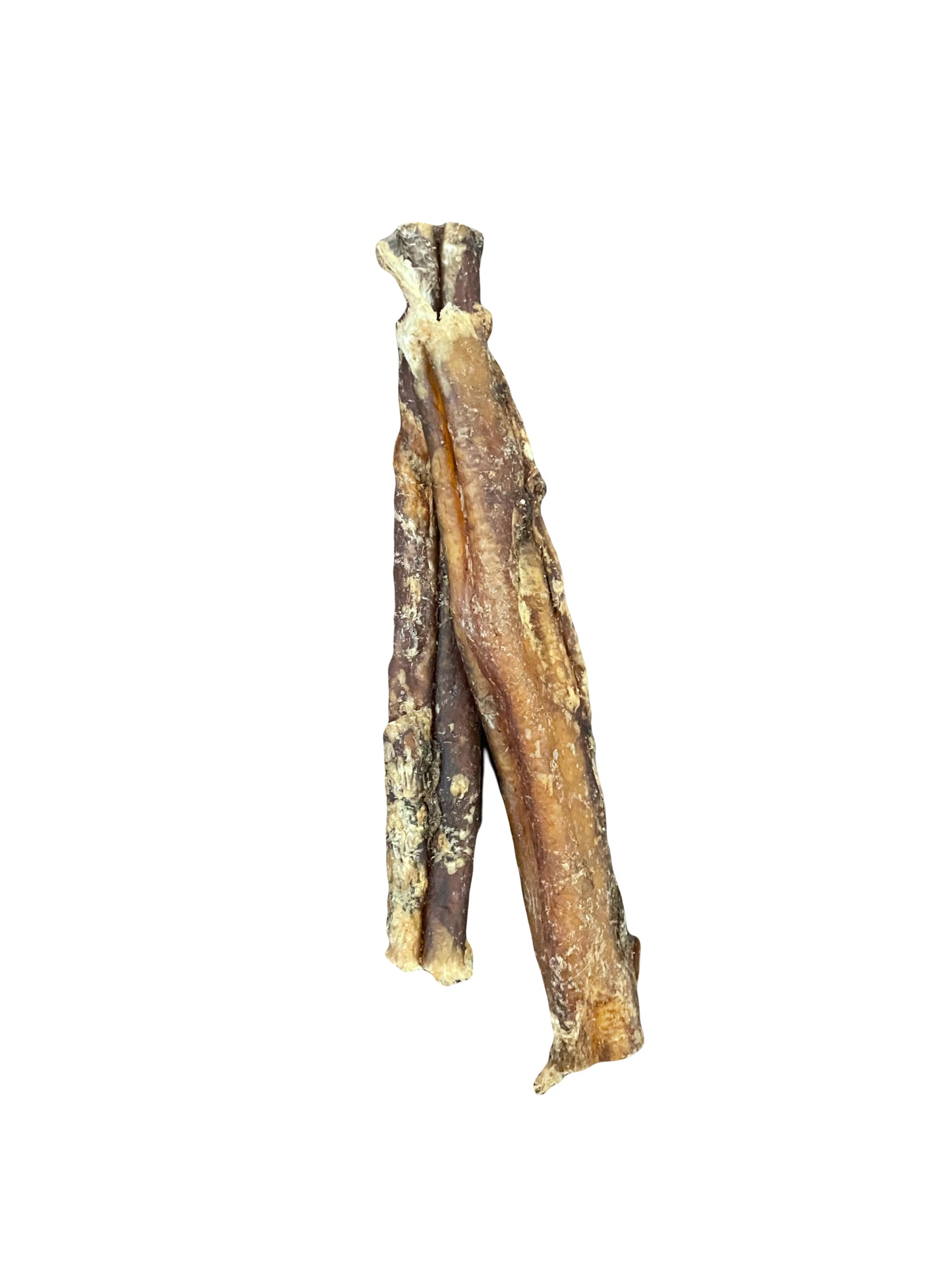Buffalo Pizzle - 12cm