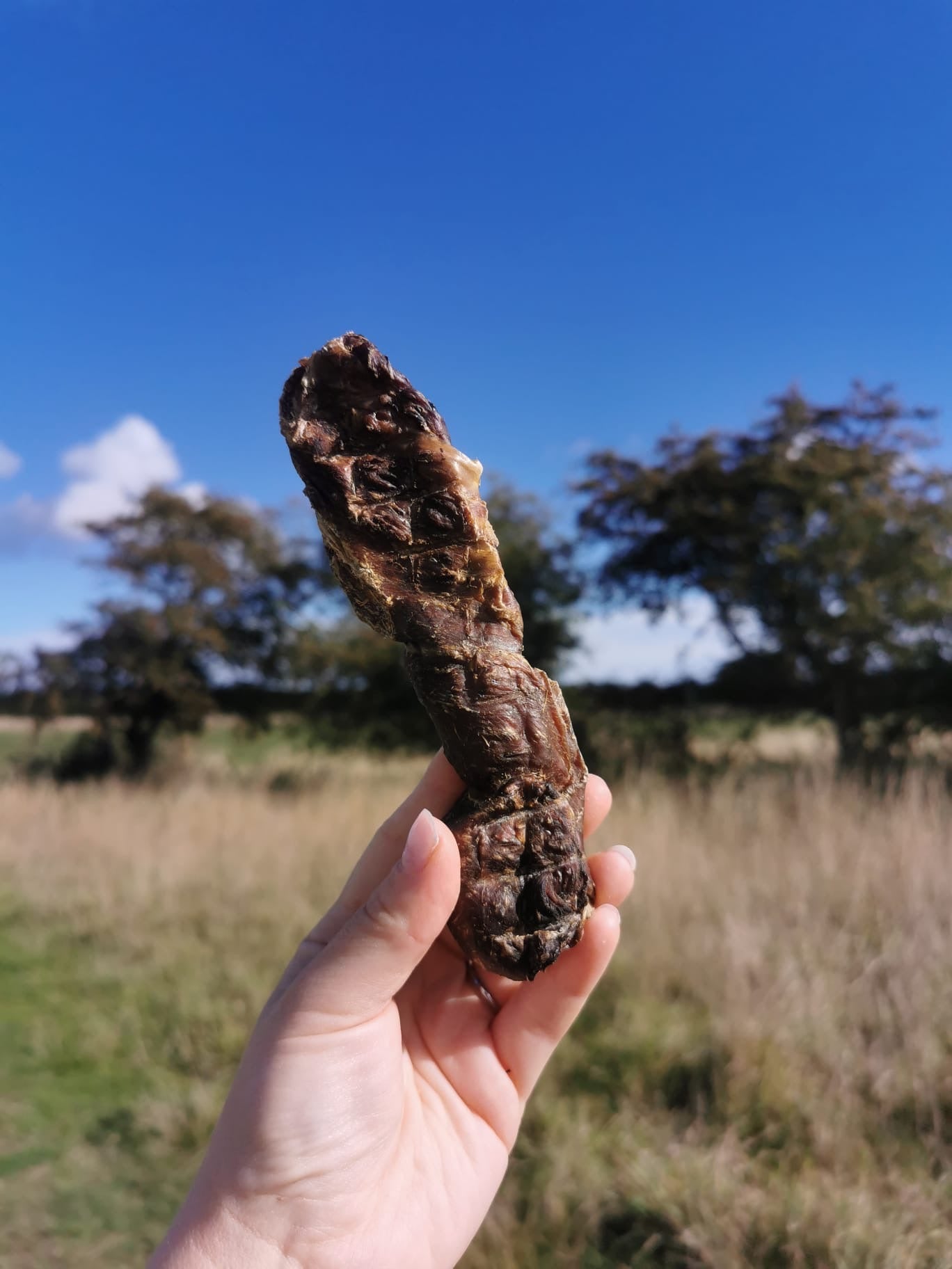 Biltong-Wrapped Buffalo Tails