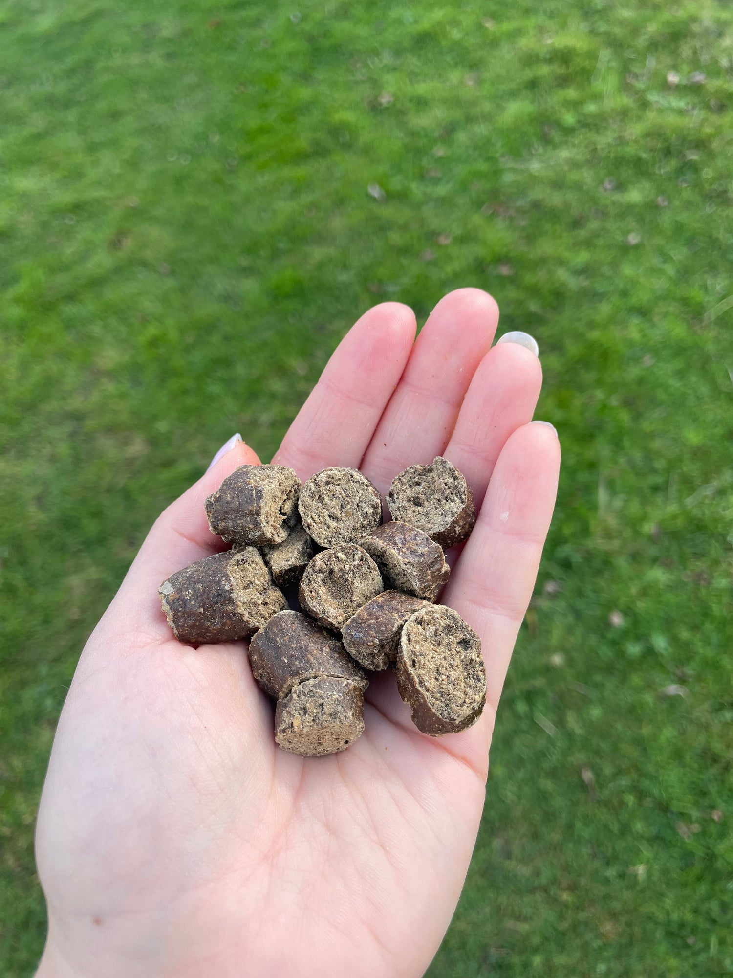 Training Treats