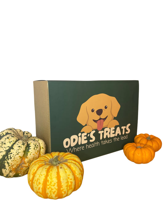 Odie's Favourites