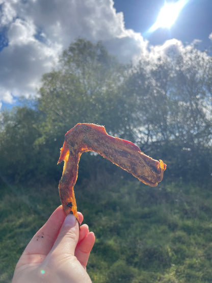 Duck Wings