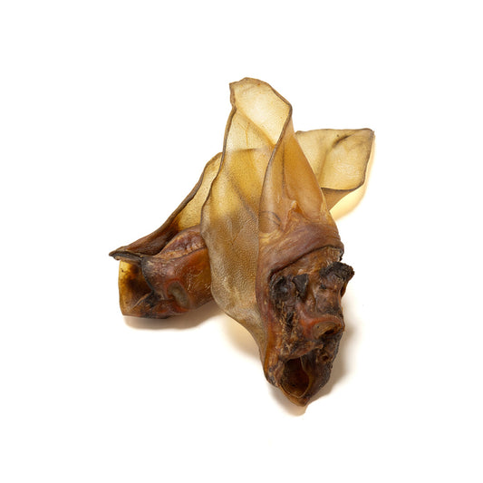 Large cow ears