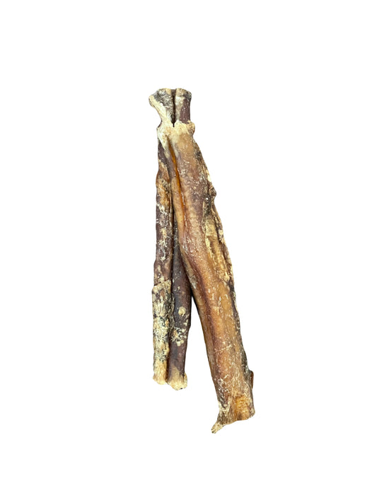 Buffalo Pizzle - 12cm