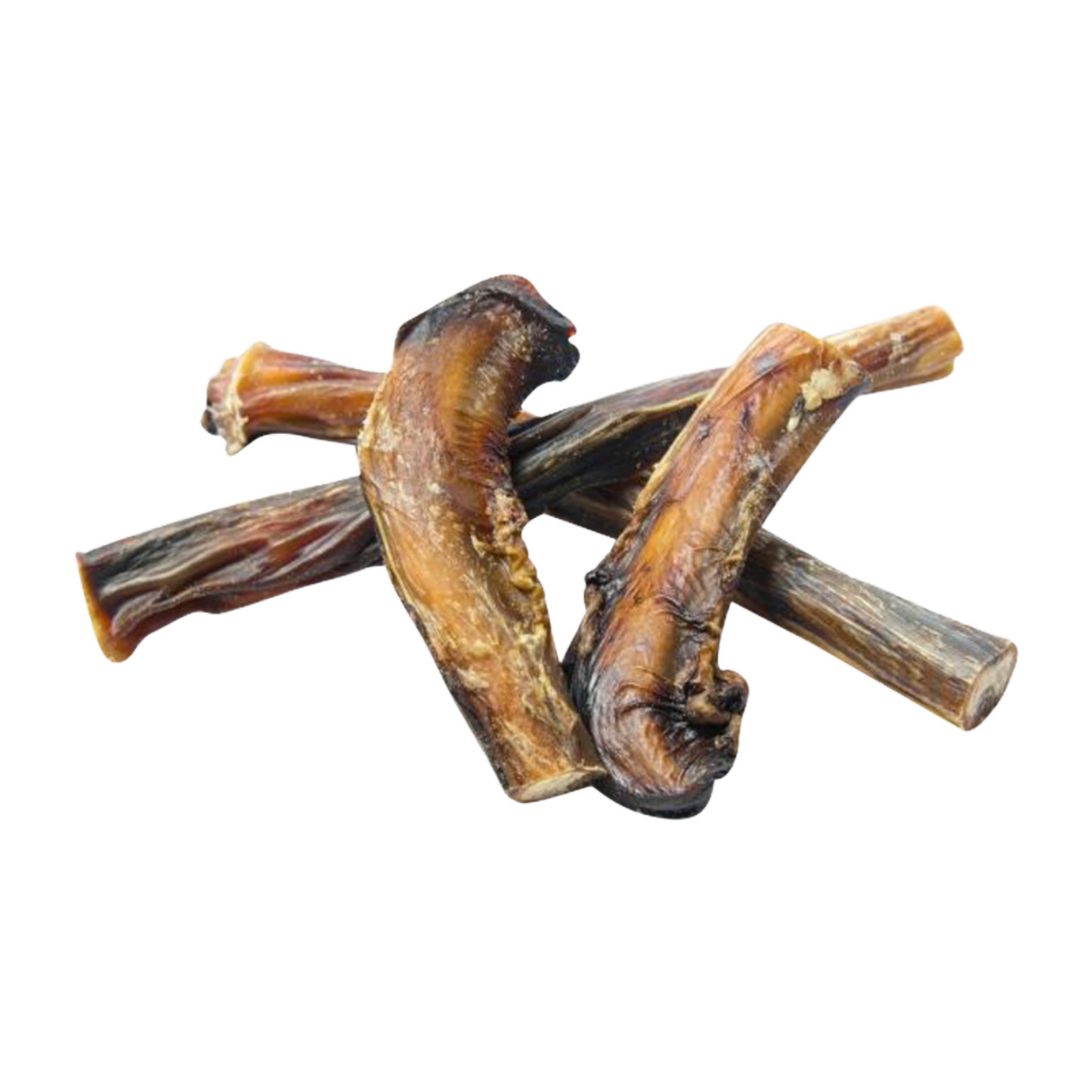 British Pizzle 'Bully Sticks' 12cm