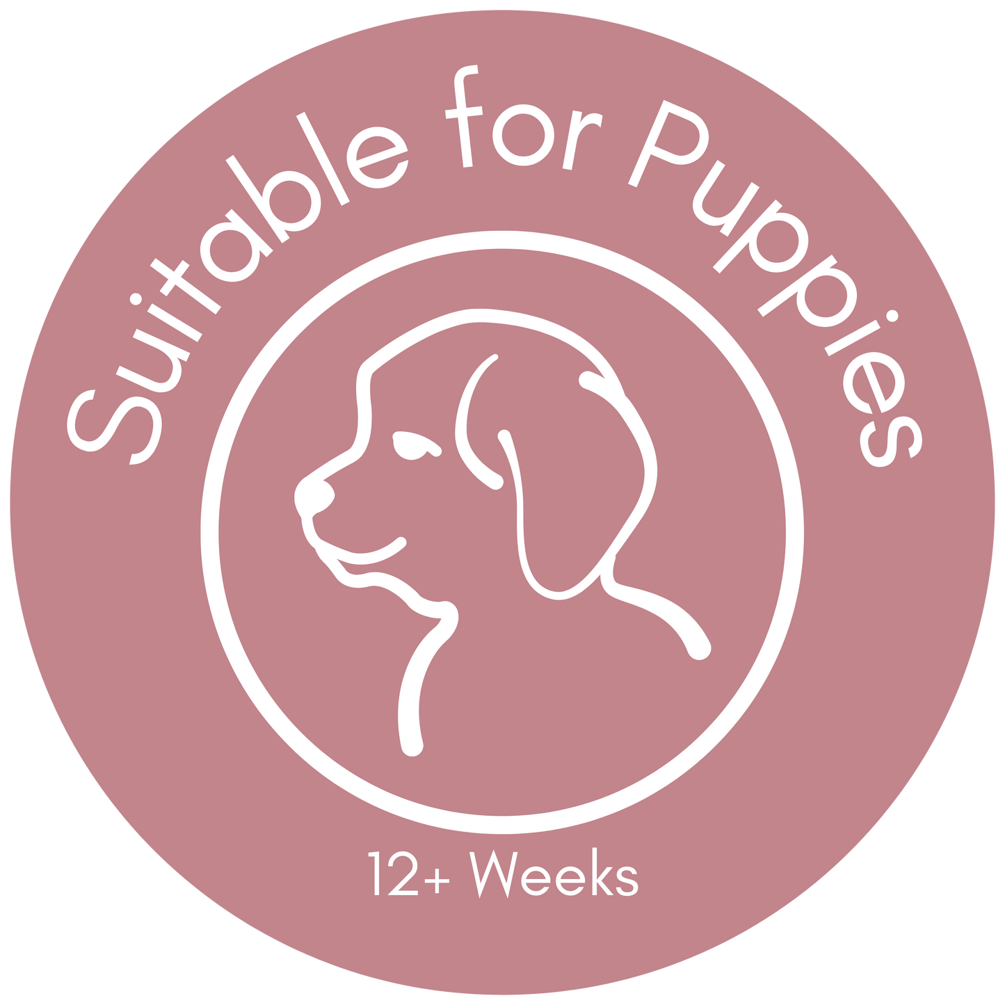 Puppy Hamper