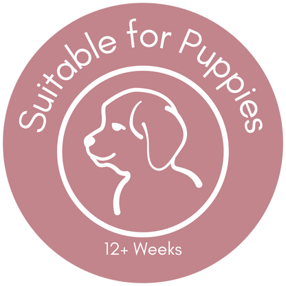 Puppy Hamper