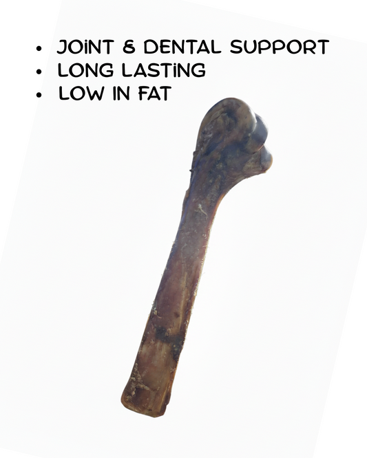 Ostrich Bones