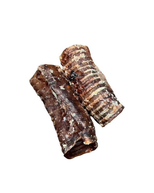 Trachea 'Gullet' - Cut
